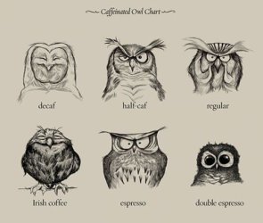 owl coffee.jpg