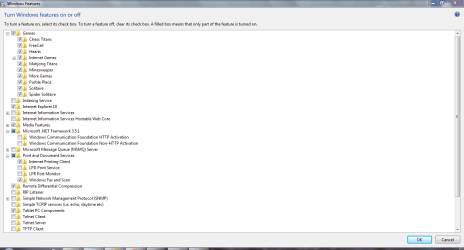 windows features 1.PNG