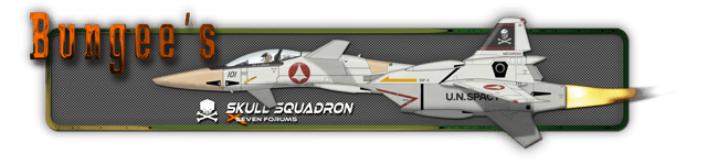 bungee sig.png bungee sig.png