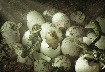 Some days are just like this.jpg