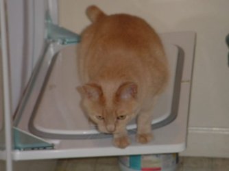 data and dryer.jpg data and dryer.jpg