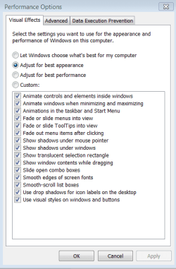 performance_option.PNG