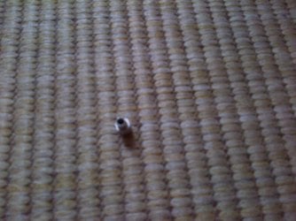 IMG-20130603-01138.jpg