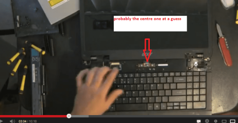 ACER.PNG
