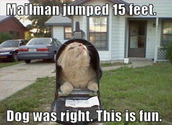 mailman.jpg mailman.jpg