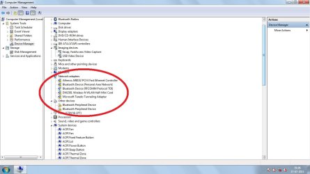 NetworkAdaptersScreenshot.jpg