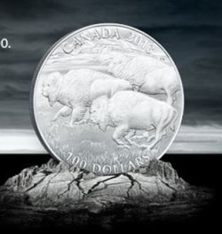 2013_Canada_Bison_100_Dollars.JPG