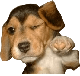 aguy.png