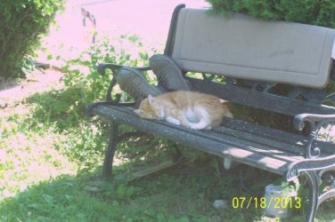 100_2810.JPG