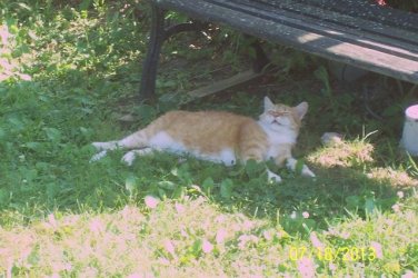 100_2816.JPG