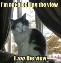 view.jpg view.jpg