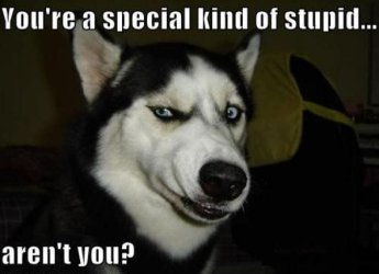 2103-youre-a-special-kind-of-stupid-arent-you.jpg