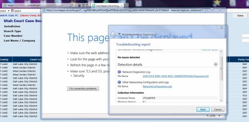 Windows Diagnostics after error.jpg