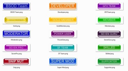 SF Badges.JPG