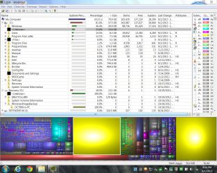windirstat Capture.PNG