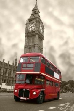 bus.jpg