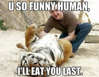 funny-human.jpg
