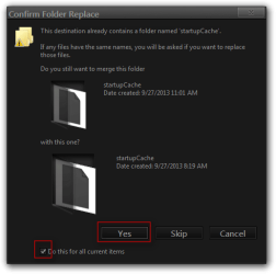 Confirm Folder Replace.png