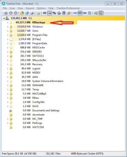 Capture by treesize.JPG Capture by treesize.JPG