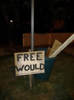 would.jpg