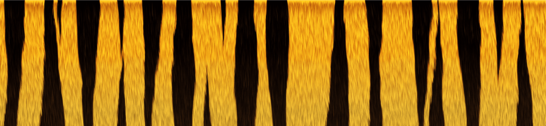 tiger_texture1.png