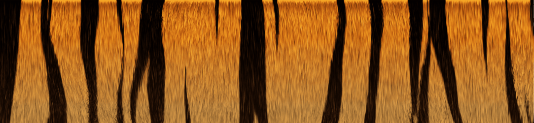 tiger_texture2.png