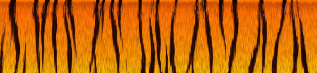 tiger_texture3.png
