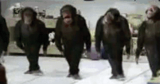 Riverdancing-monkeys.gif Riverdancing-monkeys.gif