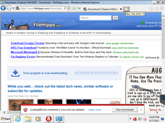 ie-false-virus-report-screenshot.png