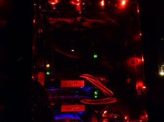 New Cables (3).jpg