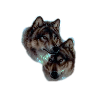 wl3.png wl3.png