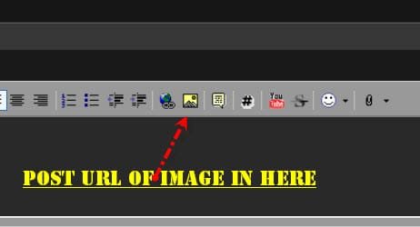 img.jpg