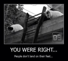land on feet.jpg