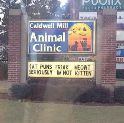ugh.jpg