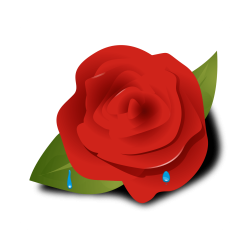 Rose.png