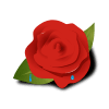 Rose 1.png