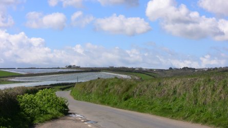IMG_0220.JPG