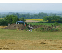 untitled.png