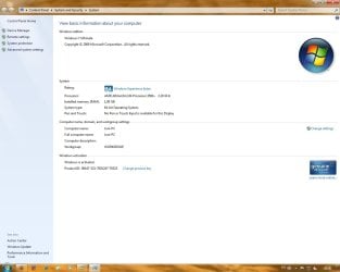 windows.jpg