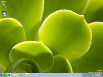 win7_build260.jpg