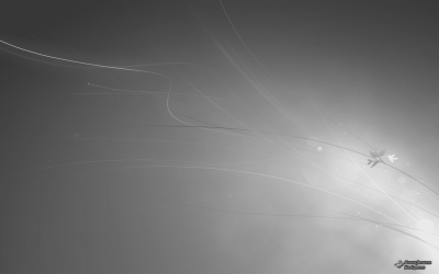 Untitled-1221.png