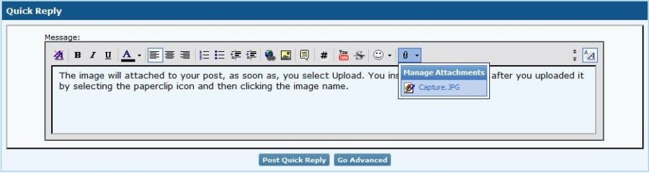 Capture.JPG