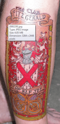 Tattoo.PNG Tattoo.PNG