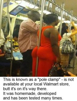 pole clamp.jpg