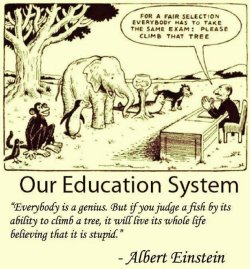 Einstein quote.jpg Einstein quote.jpg