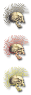 skull2.png