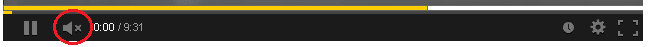 No sound.PNG