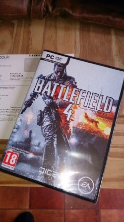 bf4.jpg