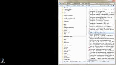 Windows 7 Explorer Window.jpg