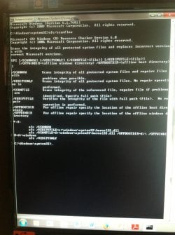 6c1980faeb3c92efc46b35468813e03e.jpg